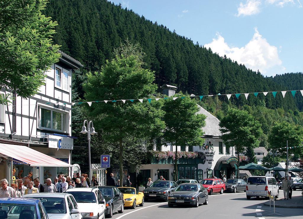Central Willingen (Upland)